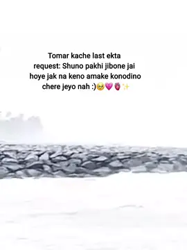 heaa pakhi🥺_#foryou #fypシ #foryoupage #tiktokviral #fyppppppppppppppppppppppp 