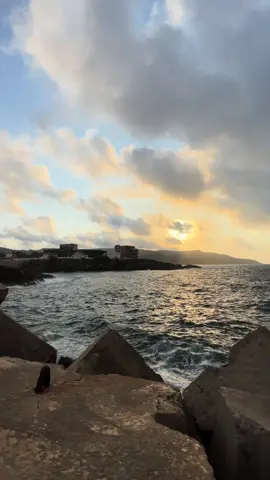 🤝🏼.                                                            #hashtag #algerie🇩🇿 #oran 