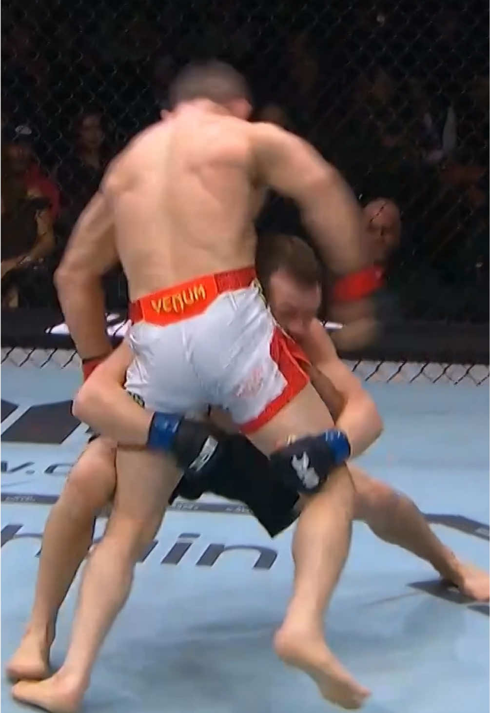 ⚡️ Тейкдаун от Яна! #UFC323 #UFC #petryan #MMA #fight 