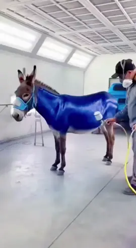 #cjxhdhfchfnfkxnd #vxfjsh #denting 