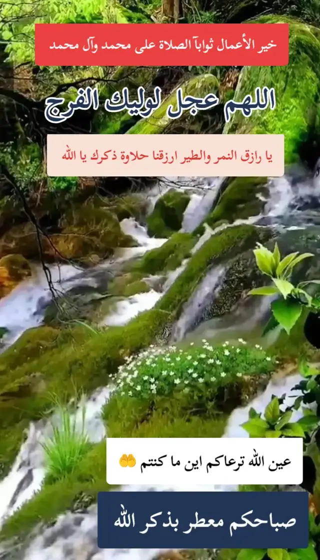 إلا بذكر الله تطمئن القلوب صباح الخير والعافيه عليكم #صباح_الخير 