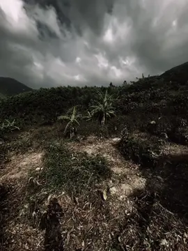 我喜欢现在的我，以前的午静每一次逆境。享受私人生活以你自己的方式。 