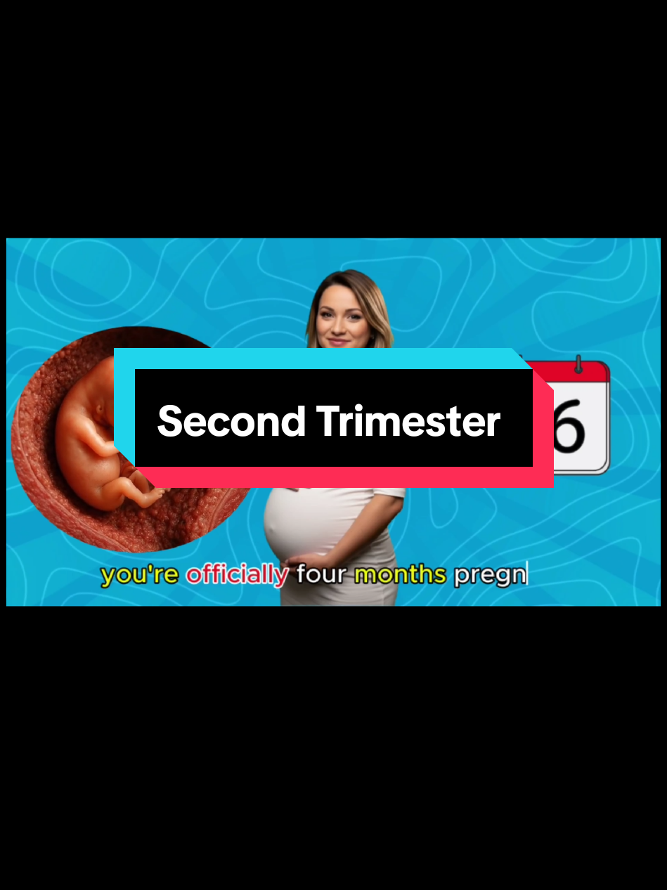 What happens during the second trimester of pregnancy? #SecondTrimesterJourney  #16weekspregnancy  #BabyBumpProgress  #MamaToBe  #pregnancyupdates 