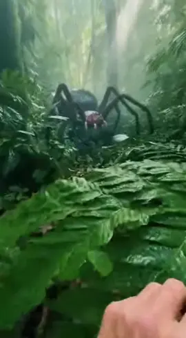 HE FOUND A GIANT SPIDER… BUT THEY DIDN’T FIND HIM 😳🕷️ A guy was hiking through the jungle, filming everything — until he stumbled on a massive spider the size of a dinner plate. The video cuts off. They found his phone… but not him. Bro what was that creature?! #wow #ai #fail #really #crash           