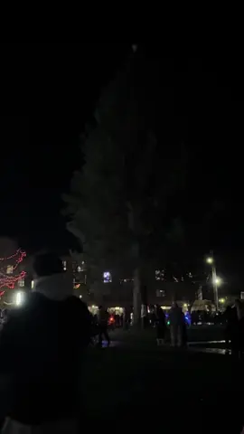 Christmas tree lighting 🎄 #christmas #christmastree #christmastreelighting #2025 #highlight