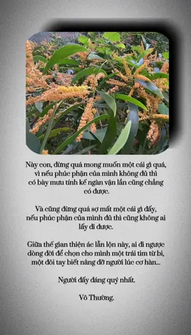 Này con, đừng quá mong muốn một cái gì quá, vì nếu phúc phận của mình không đủ thì có bày mưu tính kế ngàn vận lần cũng chẳng có được. Và cũng đừng quá sợ mất một cái gì đấy, nếu phúc phận của mình đủ thì cũng không ai lấy đi được.  Giữa thế gian thiện ác lẫn lộn này, ai đi ngược dòng đời để chọn cho mình một trái tim từ bi, một đôi tay biết nâng đỡ người lúc cơ hàn...  Người đấy đáng quý nhất. Vô Thường.