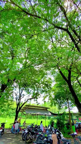 #monumenngepeh #loceretnganjuk #mieayam #baksoviral 