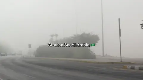 ضباب اليوم 🤍🤍🤍  ———————————————— #fypシ゚ #ضباب_الاحساء #شتاء #الشرقية #اكسبلورر 