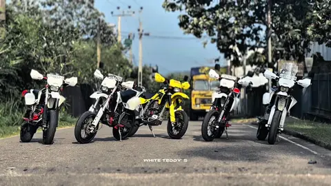 ඉල්ලලා රණ්ඩු වෙලාත් නෑ හිතාගත්ත එකම දේ දවසක මහන්සි වෙලා ගේනවා කියලා..!  ✨🤍🎯 #whiteteddy #dtracker #froyou #fyp #trending 