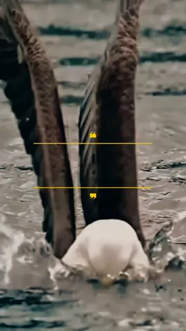 assalamu alaikum #bismillahirrohmanirrohim #motifasikehidupan #bersyukurituindah #doakuhariini #fyppppppppppppppppppppppp 