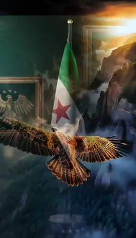 #CapCut ربي اجعل هذا البلد آمنا مطمئنا يارب 🤍💚🖤بلادي حرة 8/12 يوم التحرير  تحرير سوريا وحرية المعتقلين والرحمة والمغفرة ل شهداءنا الابرار 🖤💚🤍#قلب_واحد_يد_واحدة👑 #تركيا #سوريا #قلب_واحد_يد_واحدة👑 