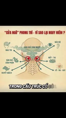 Đúng điểm,đúng cách,đúng người,đúng nơi ta sẽ nhận được giá trị thực sự#xuongkhop #suckhoe #trilieu 