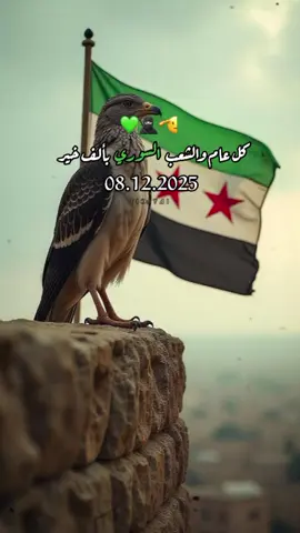 #CapCut كل عام وسوريا بألف خير #عيد_النصر #الثورة_السورية #نبض #الروح 💚✨✌🏻