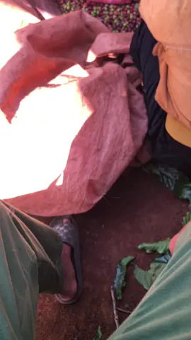 #mangyang #nhin #2009 pe phê với anh 🥰🥰