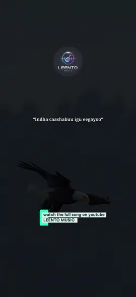 @Leento Music  inagoon aroos#somalitiktok #viraltiktok #foryoupage #fypシ゚ #viral 