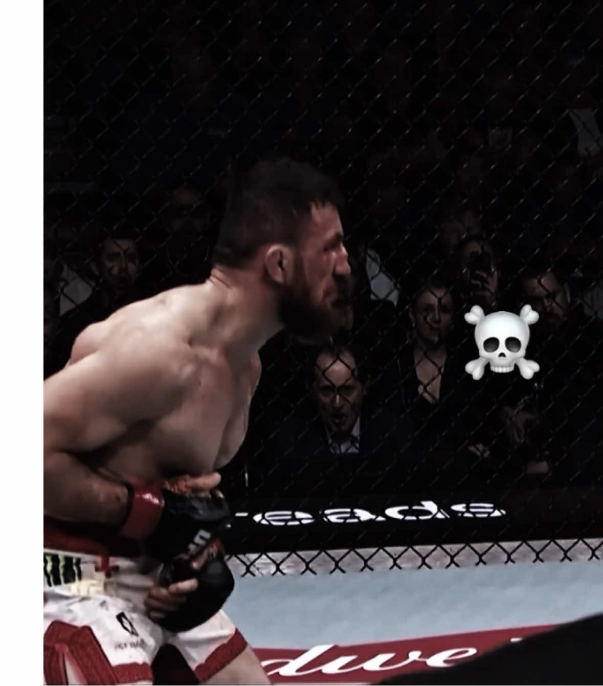 what a bodykick !  #petryan #merabdvalishvili #ufc323 #UFC #bantamweight 