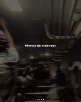 Mention your partner 🌏🤍 #lovely #copulesgoals #harttuch#feelings #harttuching_line #partners #best#quto#sinhala#ish #new#background#viral#wadansinhala #iphone 