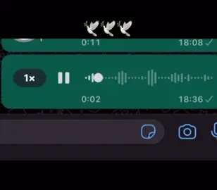 🕊️🕊️🕊️