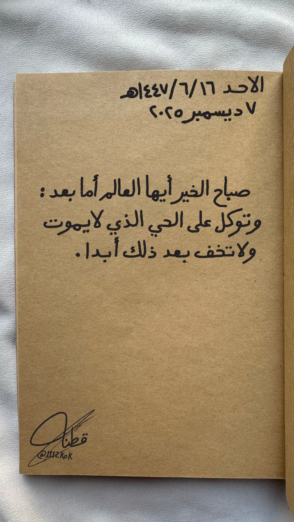 #قطنة #اكسبلور #fyp #foryou #تصويري 