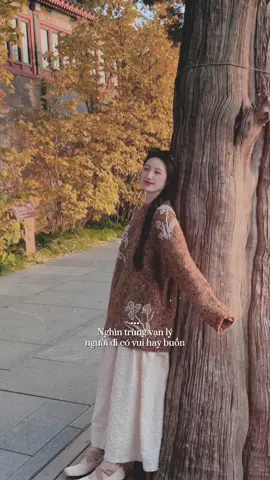 Nghìn trùng vạn lý người đi…! #lapdong #capcut #capcutpioneer #pioneertemplate #nhachaymoingay 