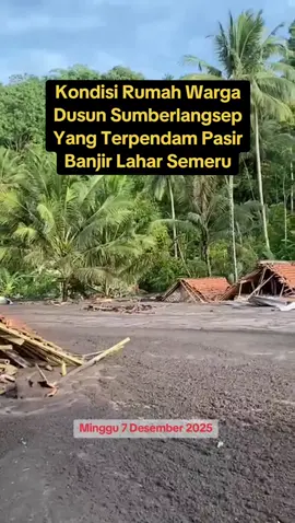 Minggu 7 Desember 2025 Kondisi Rumah Warga Dusun Sumberlangsep, Desa Jugosari - Candipuro.  Yang Terpendam Pasir Banjir Lahar Semeru Hingga Setinggi 3 Meter, Hanya Terlihat Bumbung Rumah.  #banjir #semeru #lahar #lava #semerulumajang 