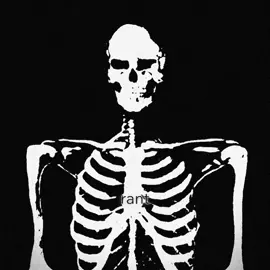 Never enough | partially satire #skull#bp#morph#anatomy#bones