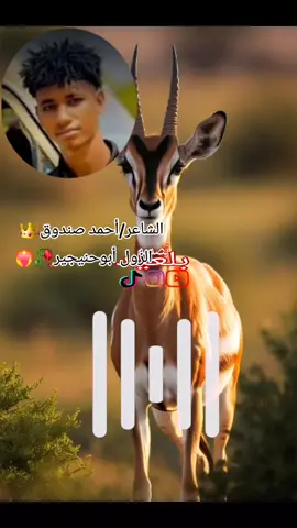 #تصميم_فيديوهات🎶🎤🎬 #تصميمي_رايكم #ليبيا_طرابلس_مصر_تونس_المغرب_الخليج #متابعه_ولايك_واكسبلور_فضلا_ليس_امر #مليون_مشاهدة❤🔥🔥🔥🔥🔥🔥❤️💥 