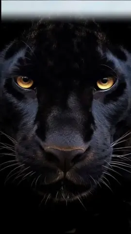 🔥🔥💓💫💐💐💐