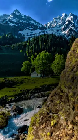 #CapCut #tiktokaljerian?🇩? #dontunderreview #1millionaudition #creatorsearchinsights 