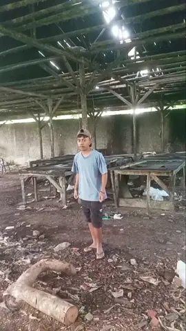 Ga sengaja liat #komedi #ngakak #kocak #fyp 