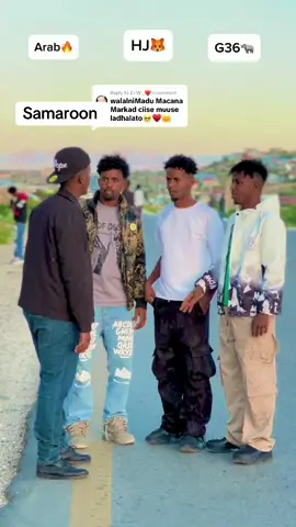 #inacampe1 #somalilandtiktok💚🤍❤ #foryoupage #hargaysa_somaliland #borama 