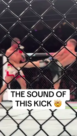 Sound up 🔊 #UFC #mma #petryan #merabdvalishvili 