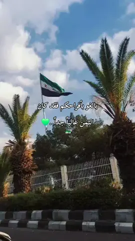 #bayan_om_sham #2026 #viral #سوريا #syria 