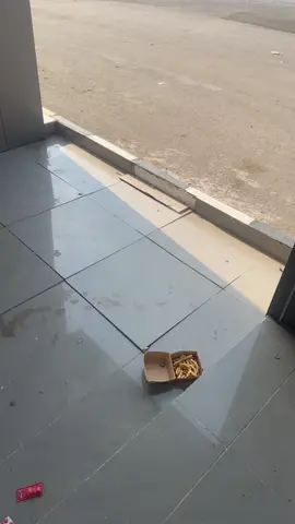 #محافظه بدر#الدداششرات🤞🏻 #غنادير بددررت#لايك__explore___  