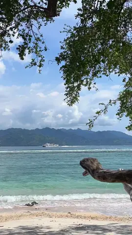 Menikmati setiap moment. #lombok #gilitrawangan #lombokisland #pesonaindonesia #fyppppppppppppppppppppppp 