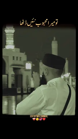 تو میرا محبوبﷺ نئیں ڈٹھا❤️‍🩹☺️ #foryou#foryoupage#unfreezemyaccount#growmyaccount#12rabi_ul_awal @✨MADINA✨ @🎀 𝒟𝑒𝑒𝓃 𝐸 𝐼𝓈𝓁𝒶𝓂 🎀 @🕊️𝐌𝐀𝐃𝐈𝐍𝐀𝐇✨ 