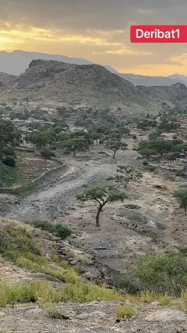 Deribat1  #sudan_deribat1  #fyp