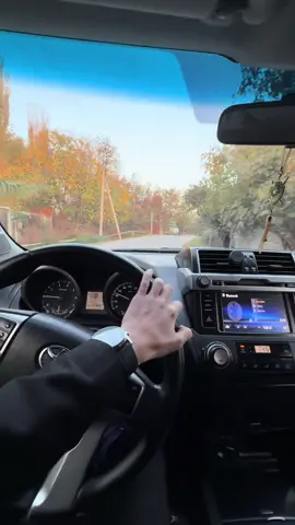 #toyotaprado #prado #toyota #pradolife #90uk313 