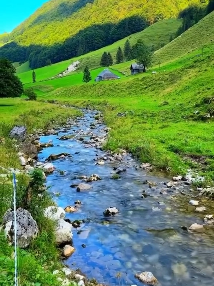 صلاح بو خاطر