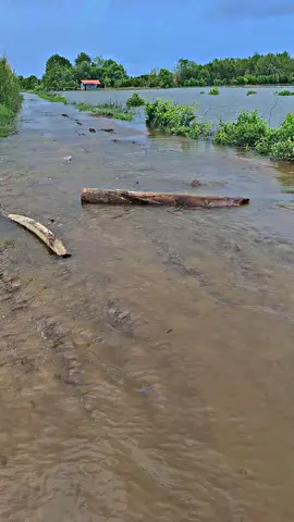 #jalurviral #banjir #fypシ゚viral #foryoupage 