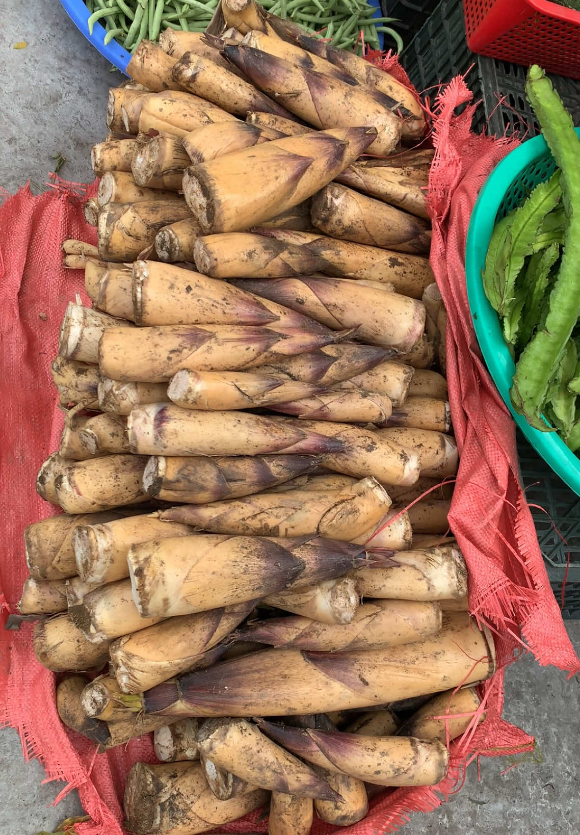 Hàng ngày Chủ nhật hôm nay, mời khách ghé quán em nha #nhathongtaybac #vancoc4_vantrung_vietyen_bacgiang #mangvautaybac #fypシ゚ 