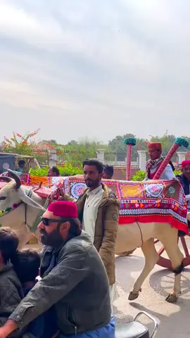 #frypgシ #frypgシ #frypgシ #frypgシ #frypgシ 