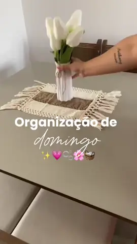 Oii domingo #fyp #foryou #limpezadacasa #limpeza #organizacao 
