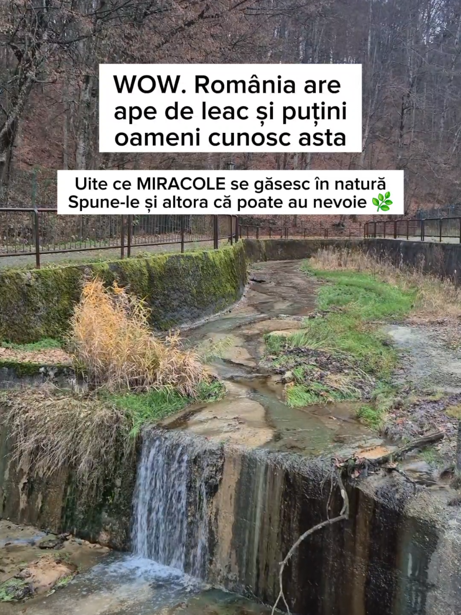 România are izvoare de leac. Puțini oameni știu de minunile care se ascund în natură. Sunt la îndemâna oricui și de multe ori nu ne costă nimic. Salvează locul și spune-le și altora #romaniafrumoasa #izvor #govora #descoperaromania #apadeleac 