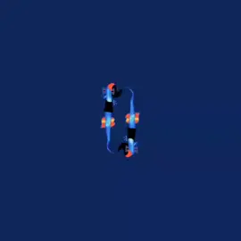 Khóc đấy x Undertale (pls dont flop T_T) #thangngot #khocday #ngotband #undertale #deltarune #flop