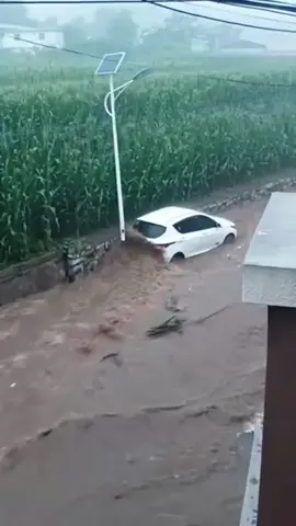 #flood#flashflood#badweather#naturedisaster#scarymoents @Nature  @Nature  @Nature @oceanlife-fishing @YunPu 