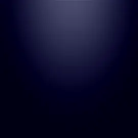 #joshuavan #ufc323 #UFC #mmafighter #myanmar 