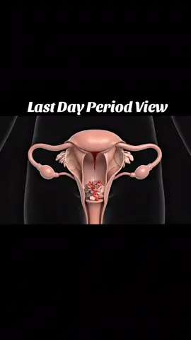Last Day Period View inside  #mother #healthylifestyle #Lifestyle #anatomy #periods 