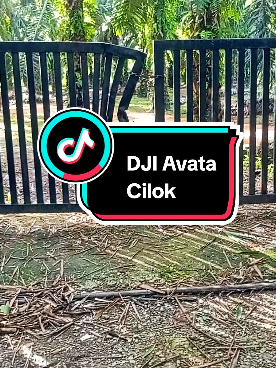 Keje nak menipu je .😆  cc. @CikgudroneJb @DDSKAULL DARKPILOT ☠️ DIORAMA  #DjiAvata2 