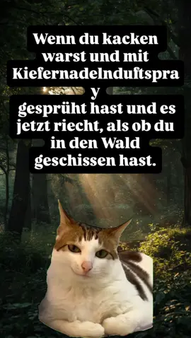 #CapCut #witzig #humor #foruyou 